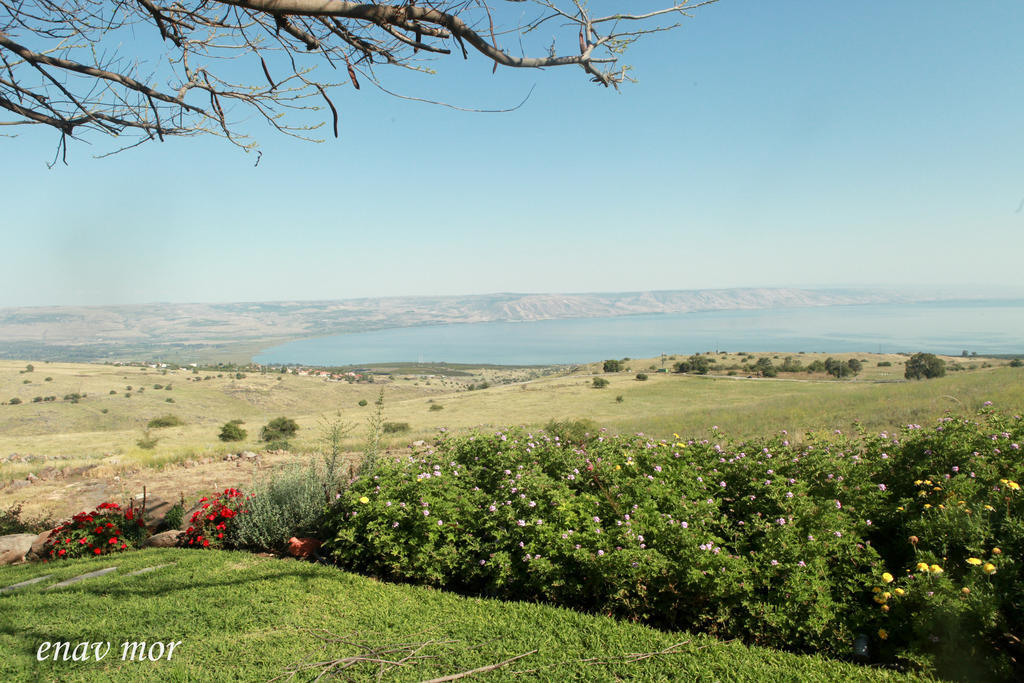 Sea Of Galilee Site Daire Chorazim Dış mekan fotoğraf