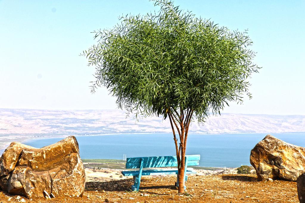 Sea Of Galilee Site Daire Chorazim Dış mekan fotoğraf